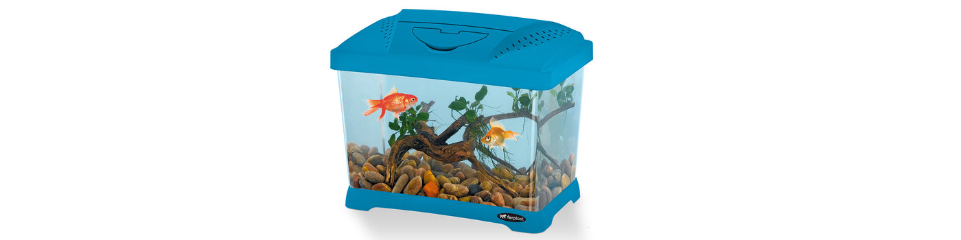 AQUARIUMS EN PLASTIQUE