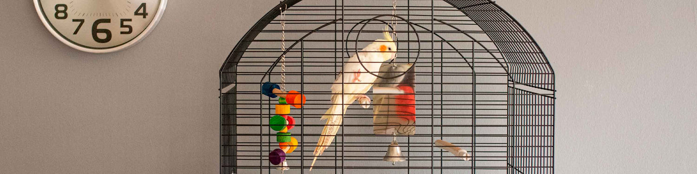 Vente en gros Accessoire Cage Oiseau de produits à des prix d