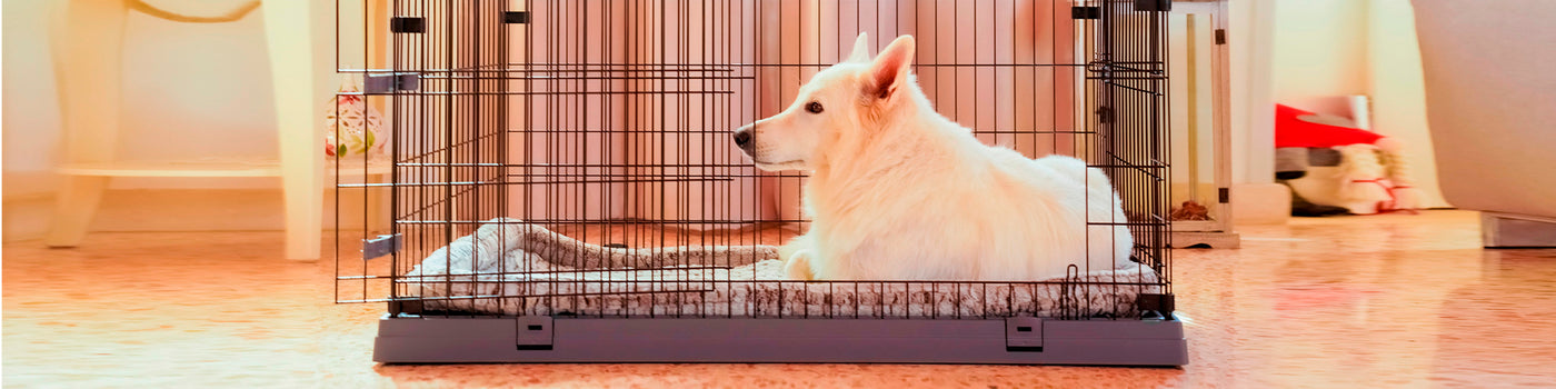 CAGES ET BOXES
