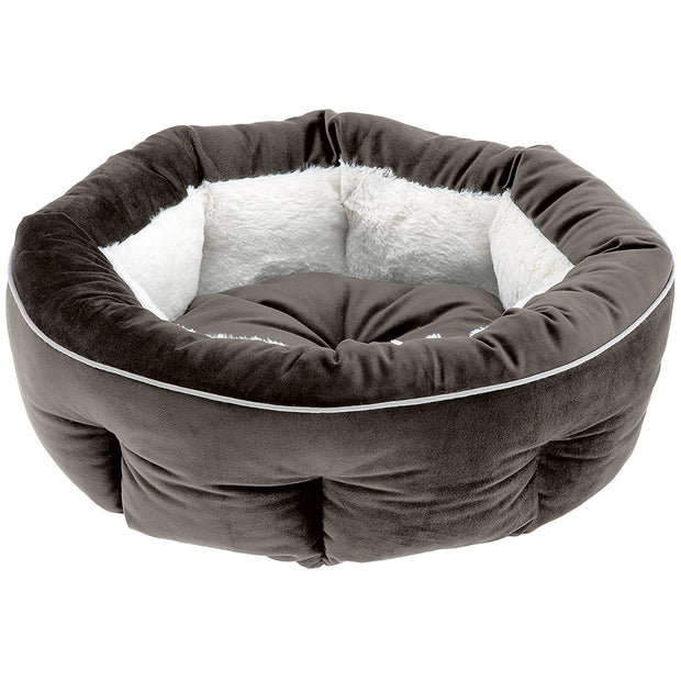 MARQUIS