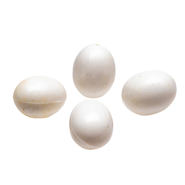 FPI 4308 OEUFS FACTICES POUR CANARIS