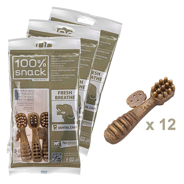 100% SNACK A REMPLIR -  TOOTHBRUSH ASCOPHILLUM