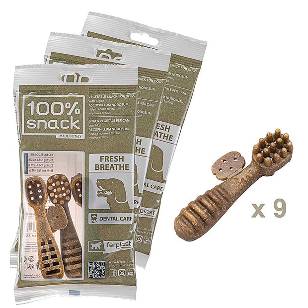 100% SNACK A REMPLIR - TOOTHBRUSH ASCOPHILLUM