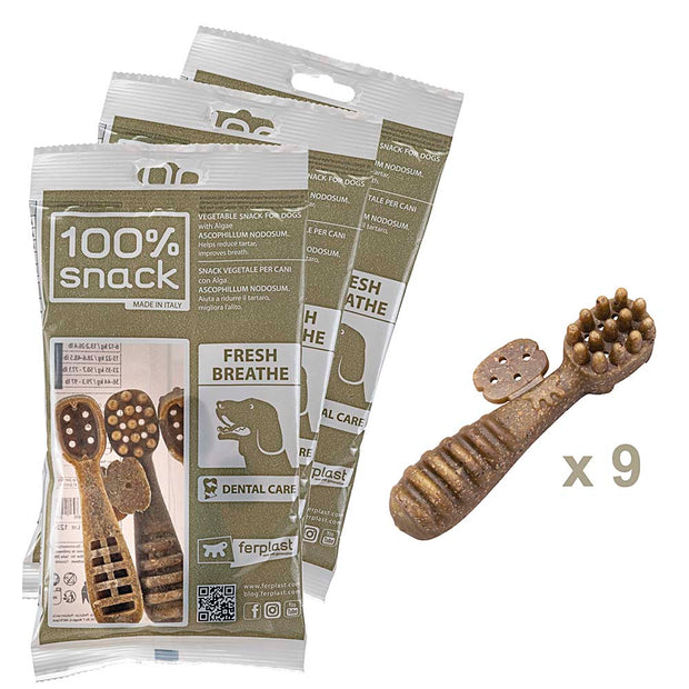 100% SNACK A REMPLIR -  TOOTHBRUSH ASCOPHILLUM