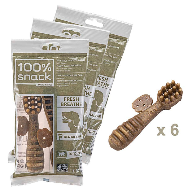 100% SNACK A REMPLIR -  TOOTHBRUSH ASCOPHILLUM