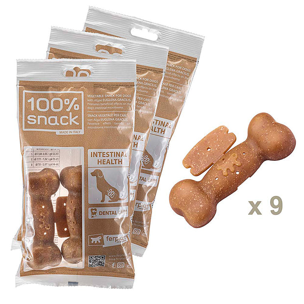 100% SNACK A REMPLIR - BONE EUGLENA