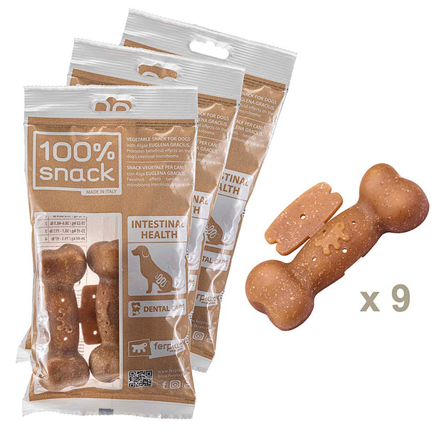 100% SNACK A REMPLIR - BONE EUGLENA