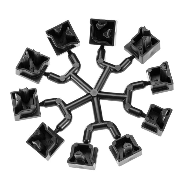 Pieds MULTIPLA HAMSTER