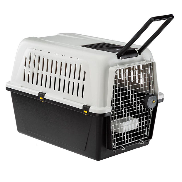 ATLAS 50 PROFESSIONAL