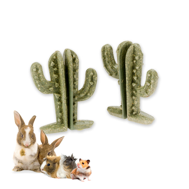 VEGGIE BITES CACTUS