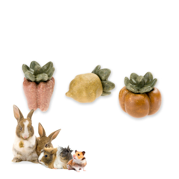 VEGGIE BITES VERDURES