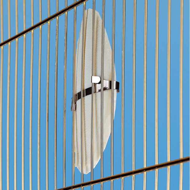 Os de seiche PA 4330