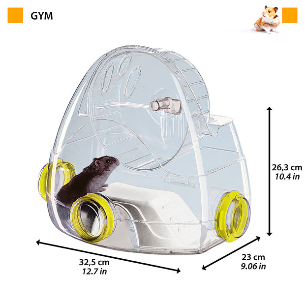 GYM