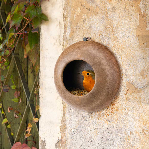Mangeoire extérieure pour oiseaux sauvages