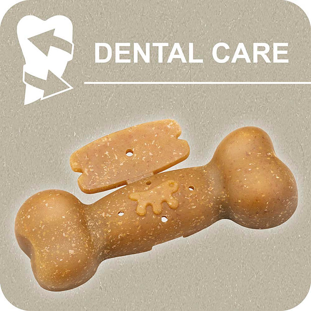 100% SNACK A REMPLIR - BONE EUGLENA