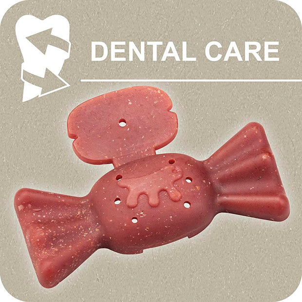 100% SNACK A REMPLIR - CANDY YUCCA