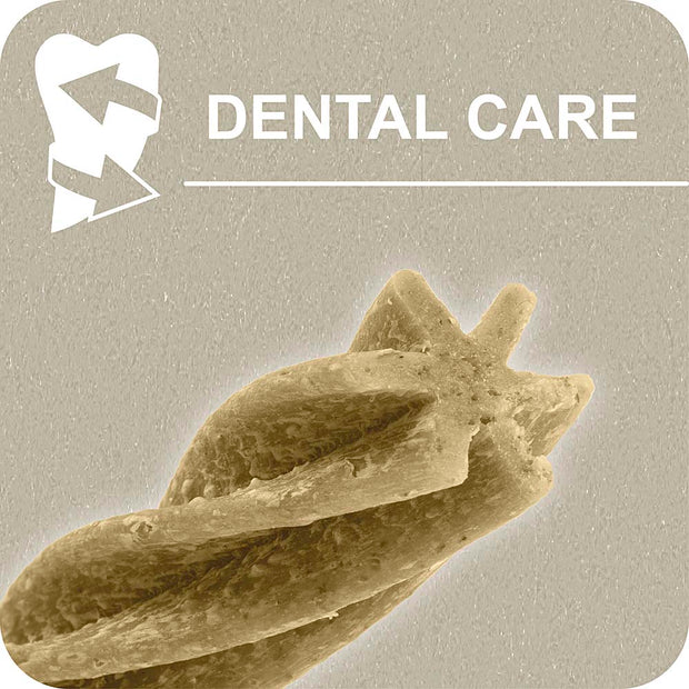 100% SNACK BÂTONNETS - FUSILLI ASCOPHILLUM