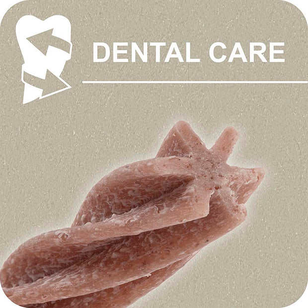 100% SNACK BÂTONNETS - FUSILLI YUCCA