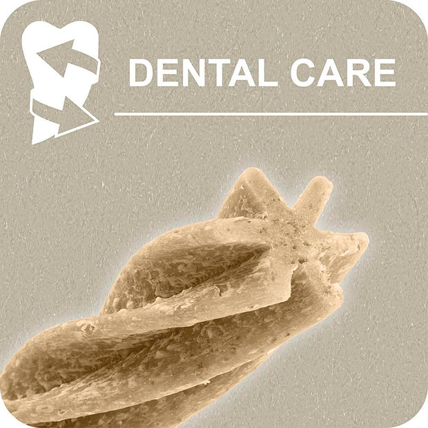 100% SNACK BÂTONNETS - FUSILLI EUGLENA