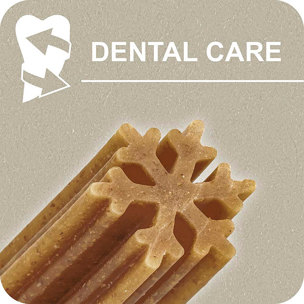 100% SNACK BÂTONNETS - SNOWFLAKE EUGLENA