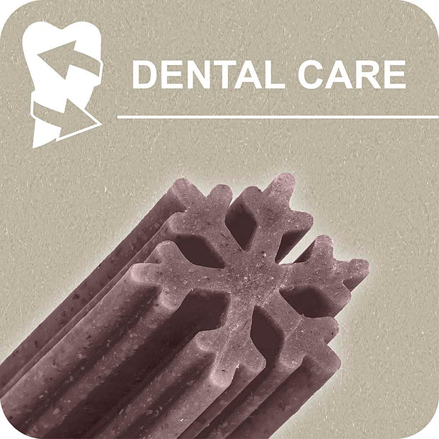 100% SNACK BÂTONNETS - SNOWFLAKE MELISSA