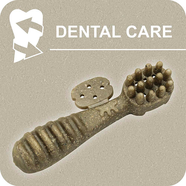 100% SNACK A REMPLIR -  TOOTHBRUSH ASCOPHILLUM