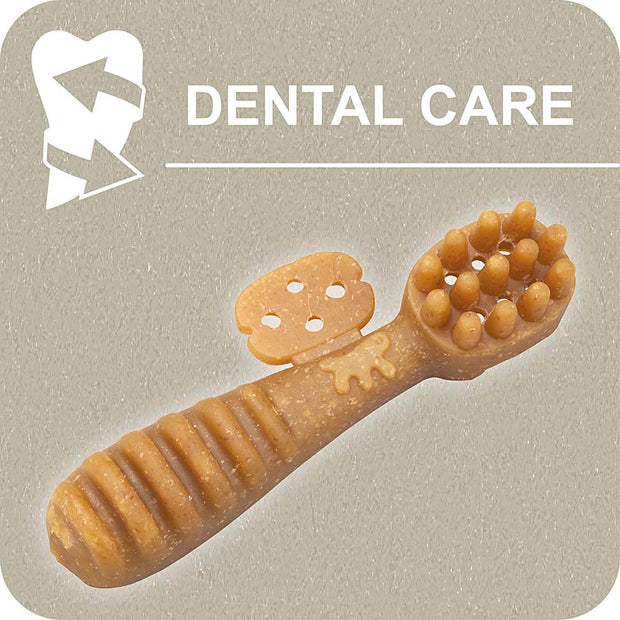 100% SNACK A REMPLIR - TOOTHBRUSH EUGLENA
