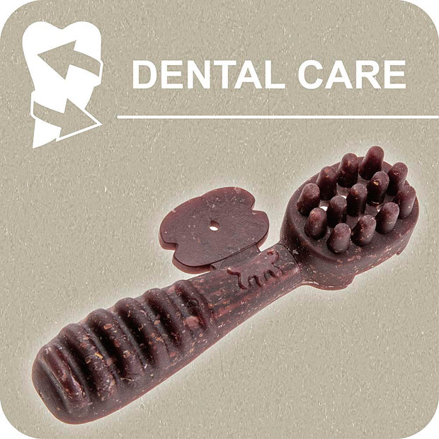 100% SNACK A REMPLIR -  TOOTHBRUSH MELISSA