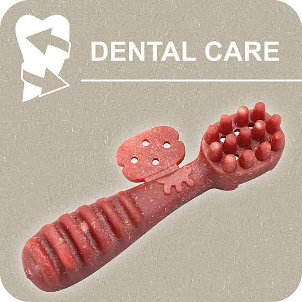100% SNACK A REMPLIR -  TOOTHBRUSH YUCCA