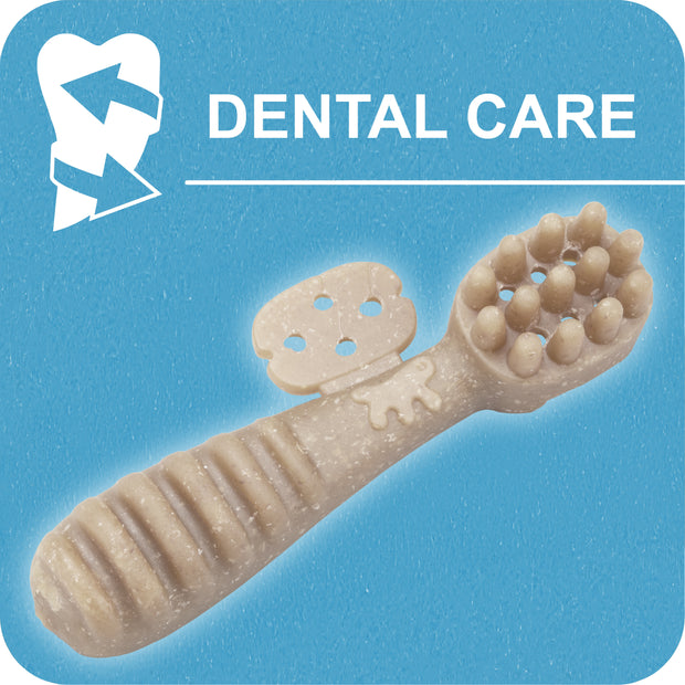 100% SNACK A REMPLIR -  TOOTHBRUSH LITHOTHAMNIUM