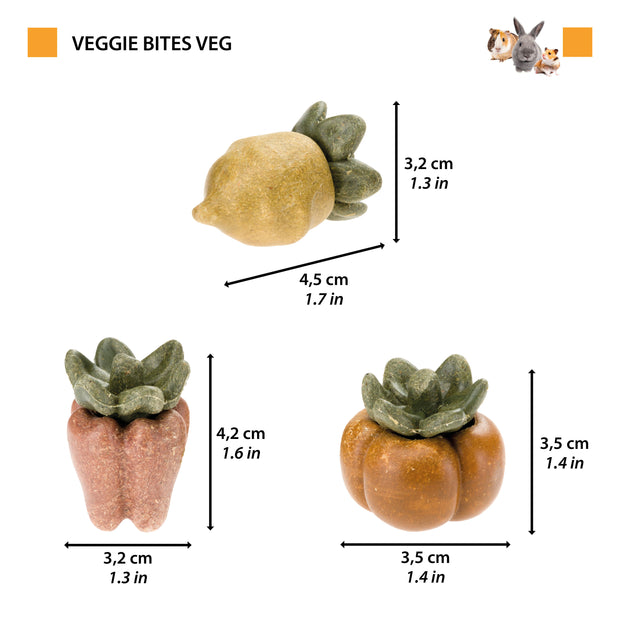 VEGGIE BITES VERDURES