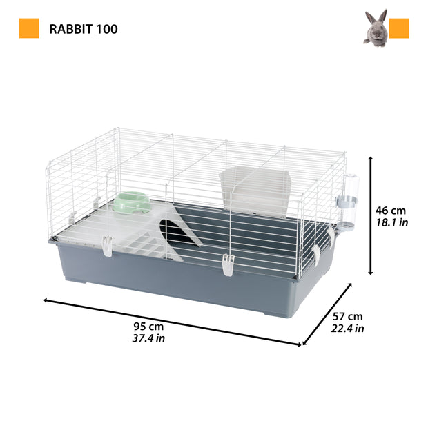 RABBIT 100