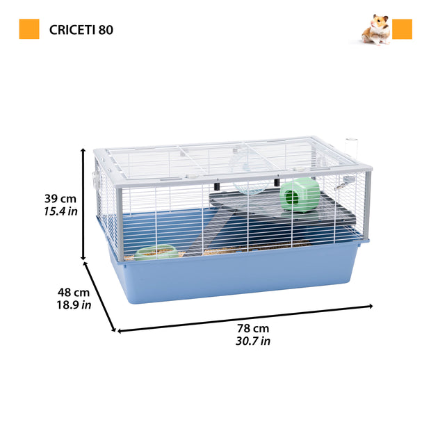 CRICETI 80