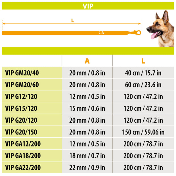 VIP GM