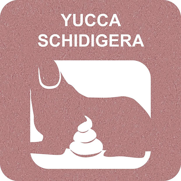 100% SNACK A REMPLIR - BONE YUCCA