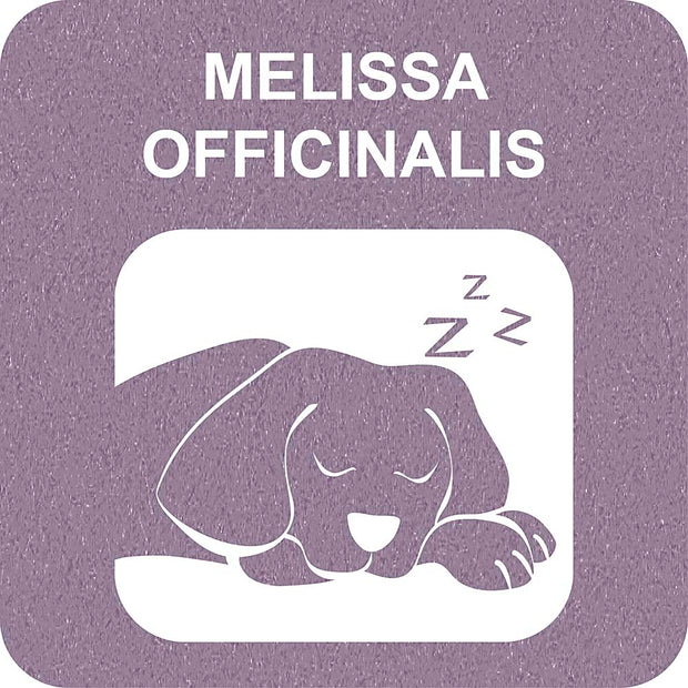 100% SNACK BÂTONNETS - SNOWFLAKE MELISSA