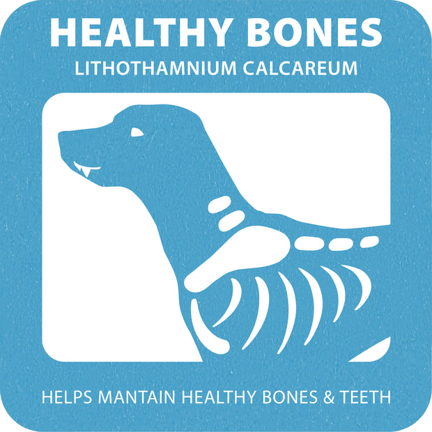 100% SNACK BÂTONNETS - SNOWFLAKE LITHOTHAMNIUM