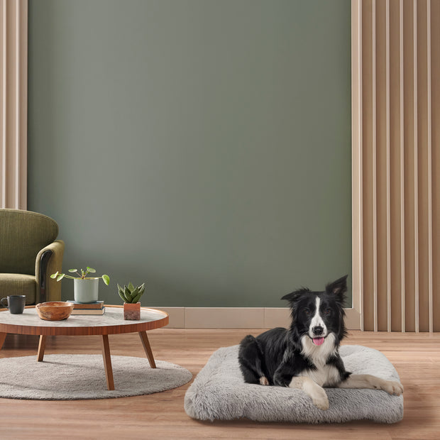 SHANTI lit pour chiens et chats