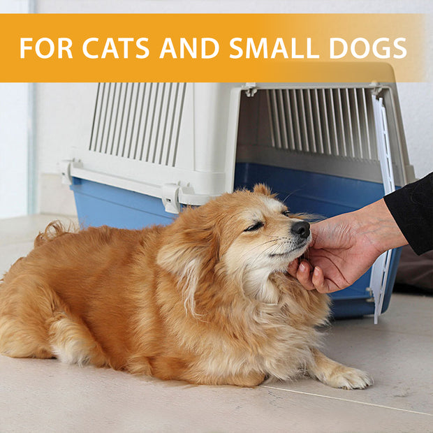 ATLAS EL
