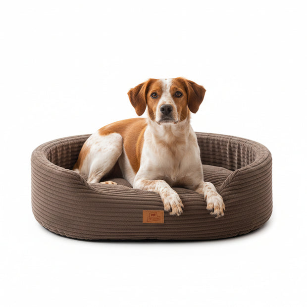 DANDY CORDUROY Panier divan avec coussin amovible pour chiens et chats