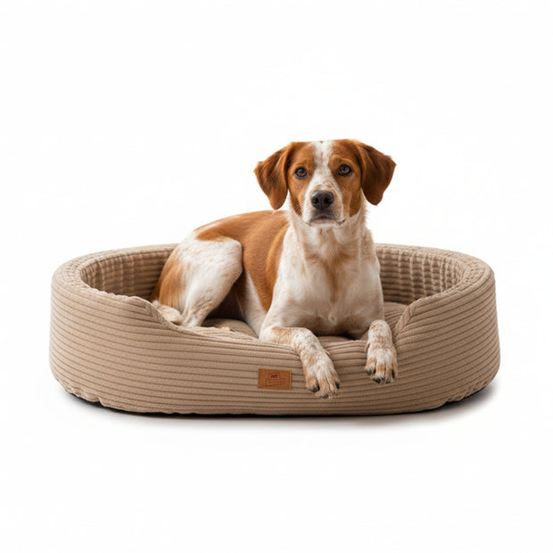 DANDY CORDUROY Panier divan avec coussin amovible pour chiens et chats