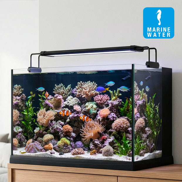 Lampe AQ-LUX REEF