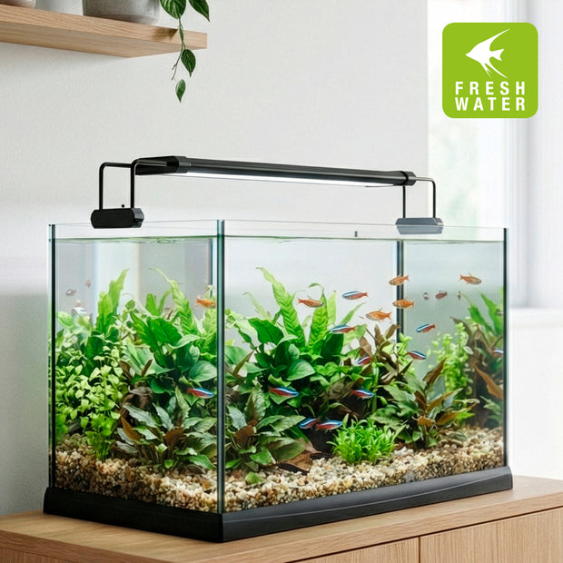 Lampe AQ-LUX FRESH
