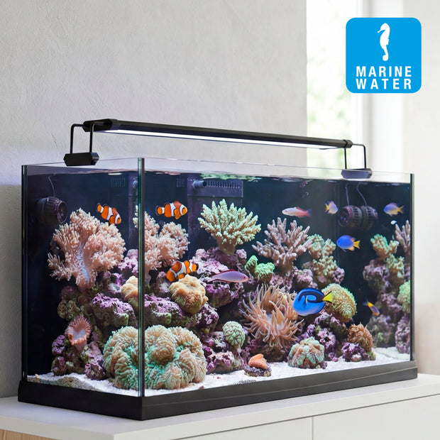 Lampe AQ-LUX REEF