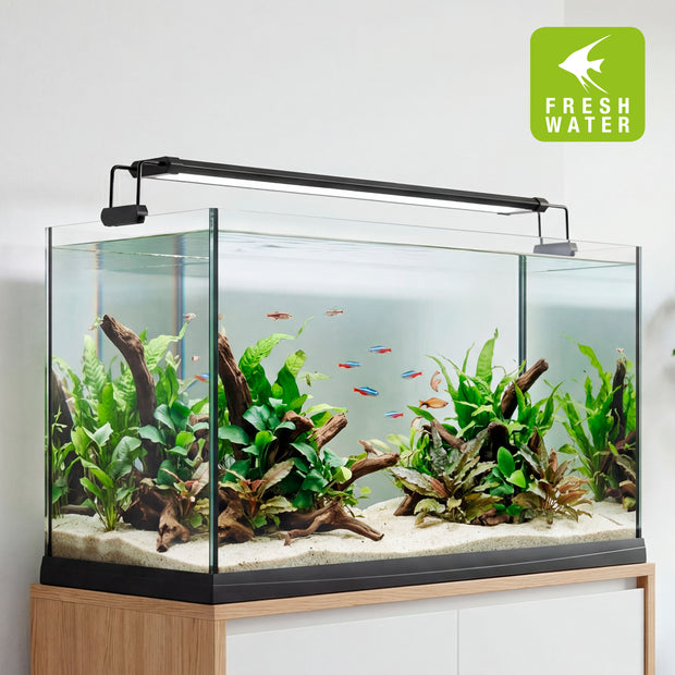 Lampe AQ-LUX FRESH