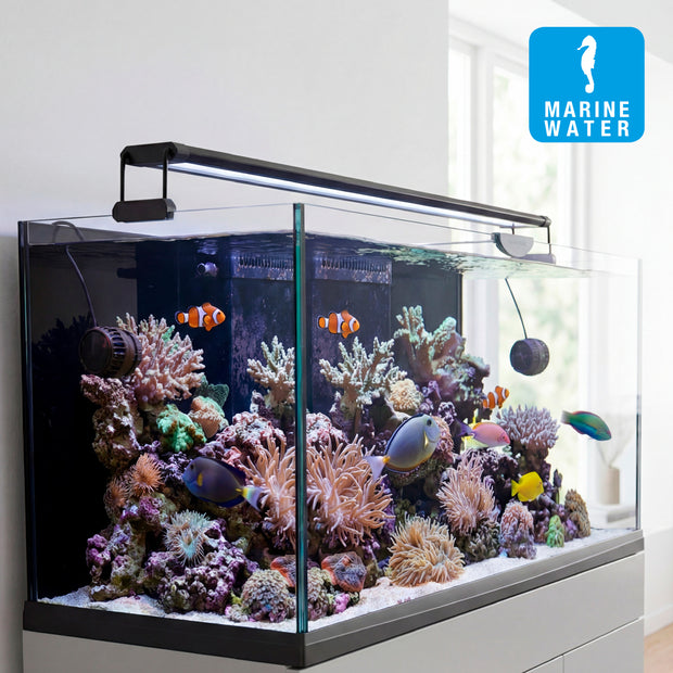 Lampe AQ-LUX REEF