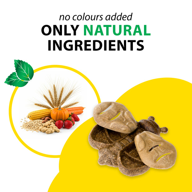 VEGGIE BITES ABEILLE