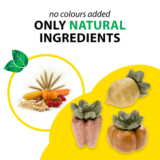 VEGGIE BITES VERDURES