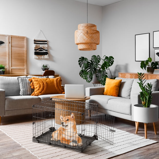 DOG ZONE cage pour chiens