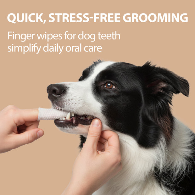 LINGETTES NETTOYANTES POUR LES DENTS NATURÉ – POUR CHIENS ET CHATS (x50)